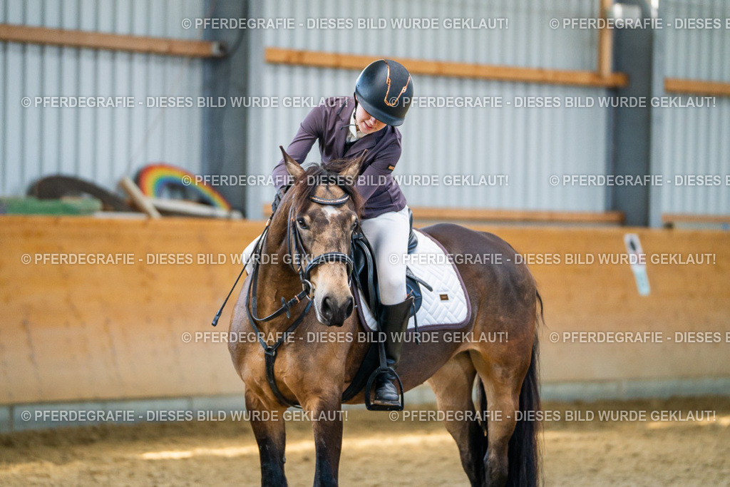 DSC01210 | Pferdegrafie