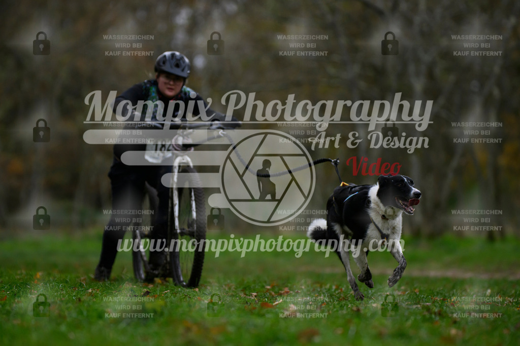 MompixPhotography_Bischwiller24_SA_DS1-37 | PayLife