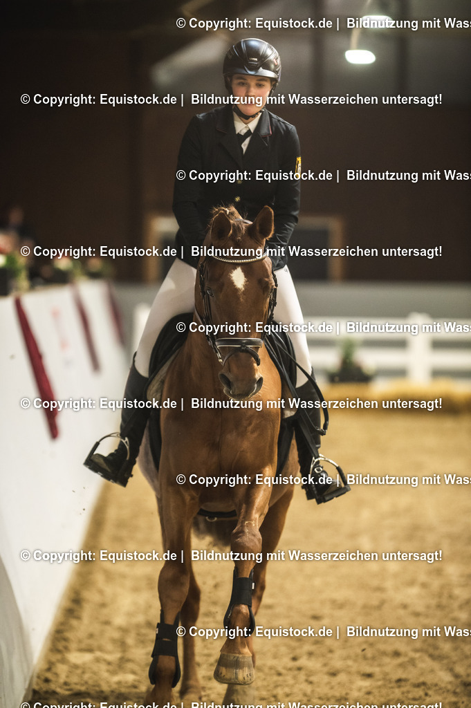 20240302_Hengstvorstellung_Marbach_TOMsPiC_1340 | equistock