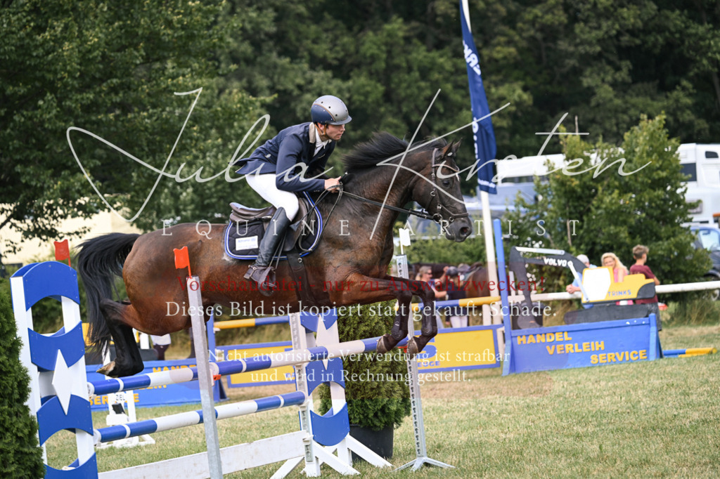 DSC_0637 | Pferde- und Turnierfotografie in Westsachsen. Pferdeportraits, Auftragszeichnungen und intuitive Kunst.