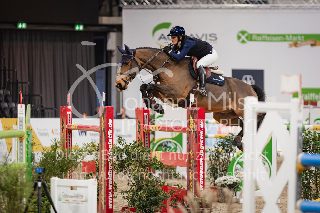 241103_Oldenburg_FinaleMittlereTour-215 | Deine schönsten Turniermomente als professionelle Fotos! Entdecke hochwertige Pferdesport-Fotografie im Online-Shop. Jetzt Fotos finden & bestellen!