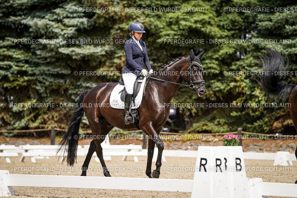 DSC02668 | Pferdegrafie