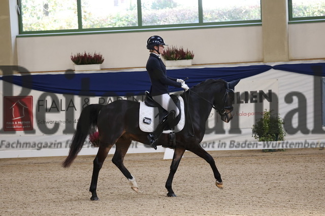 Ising_2025_Prfg.Nr.20_Pony-Dressurprfg.Kl.L_Kür_Victoria Vorreiter_Snowflake Narducci (2) | Alle Fotos der Reiterjournal Fotografin Doris Matthaes im Reiterjournal Online-Fotoshop. - Realisiert mit Pictrs.com