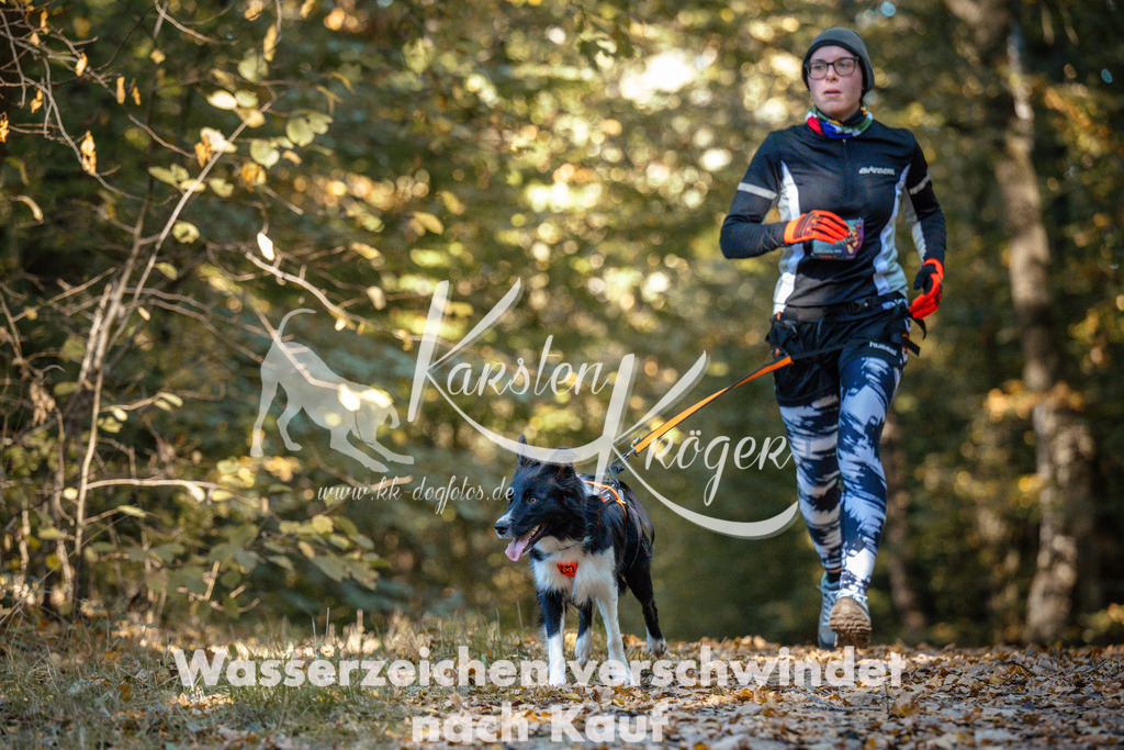 1102_ZZ91412 | kk-dogfotos