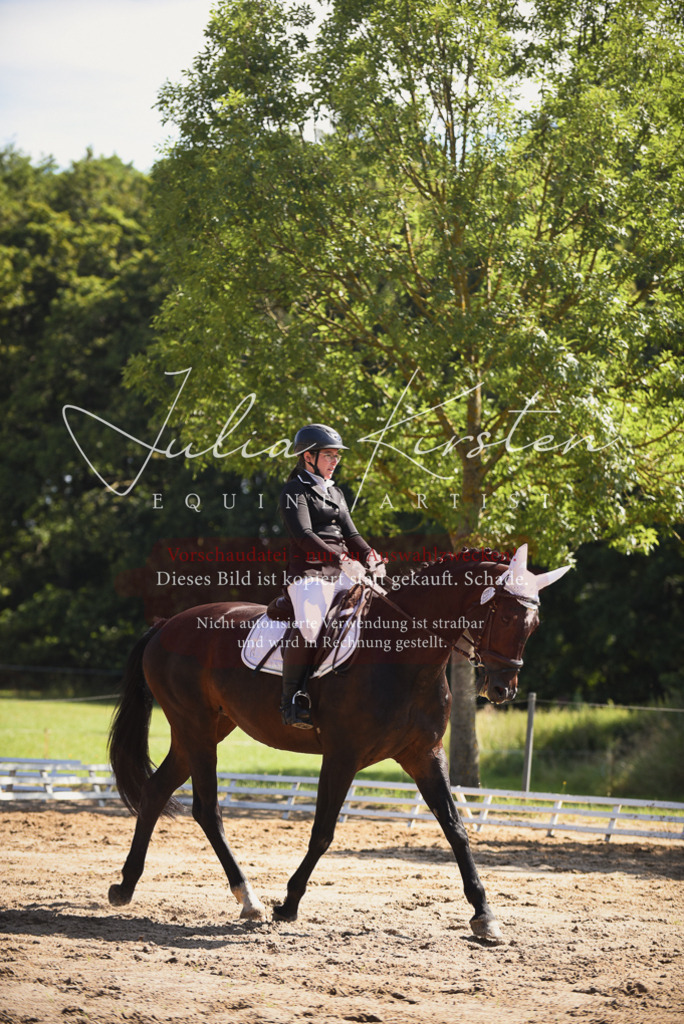 DSC_0397 | Pferde- und Turnierfotografie in Westsachsen. Pferdeportraits, Auftragszeichnungen und intuitive Kunst.