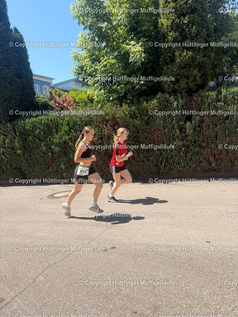 IMG_1734 | Hüttlinger Muffigelläufe - Realisiert mit Pictrs.com