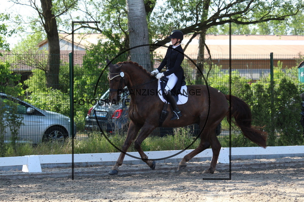 IMG_5577 | franziskalange - Realisiert mit Pictrs.com