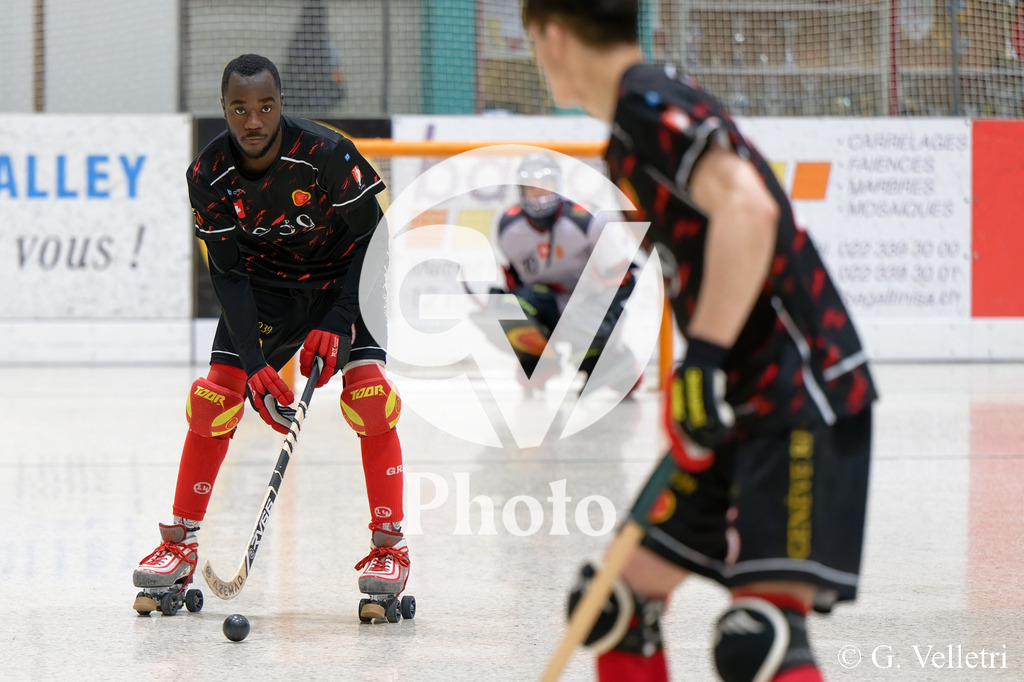 DSC_7784 | Velletri Photo