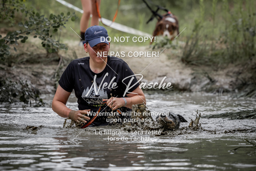 nelerasche_so0800-0930_535 | nelerasche