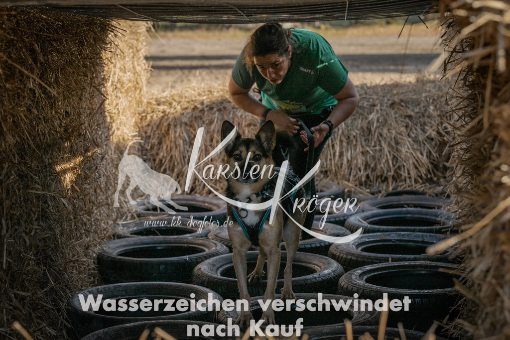 1056_ZZ99656 | kk-dogfotos