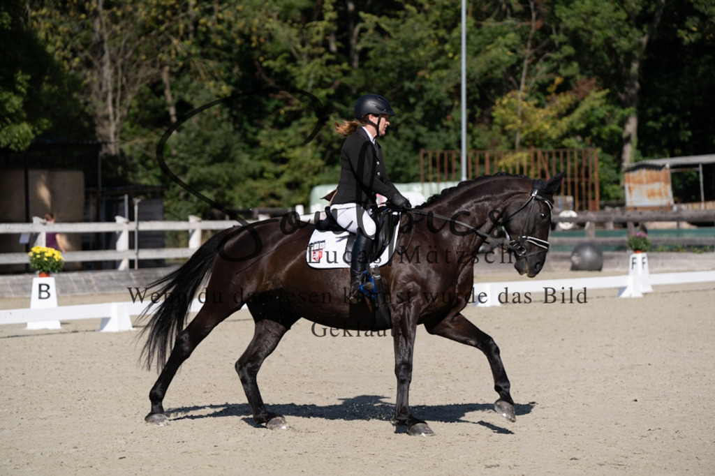A7V06993 | Turnier/Reitfotograf