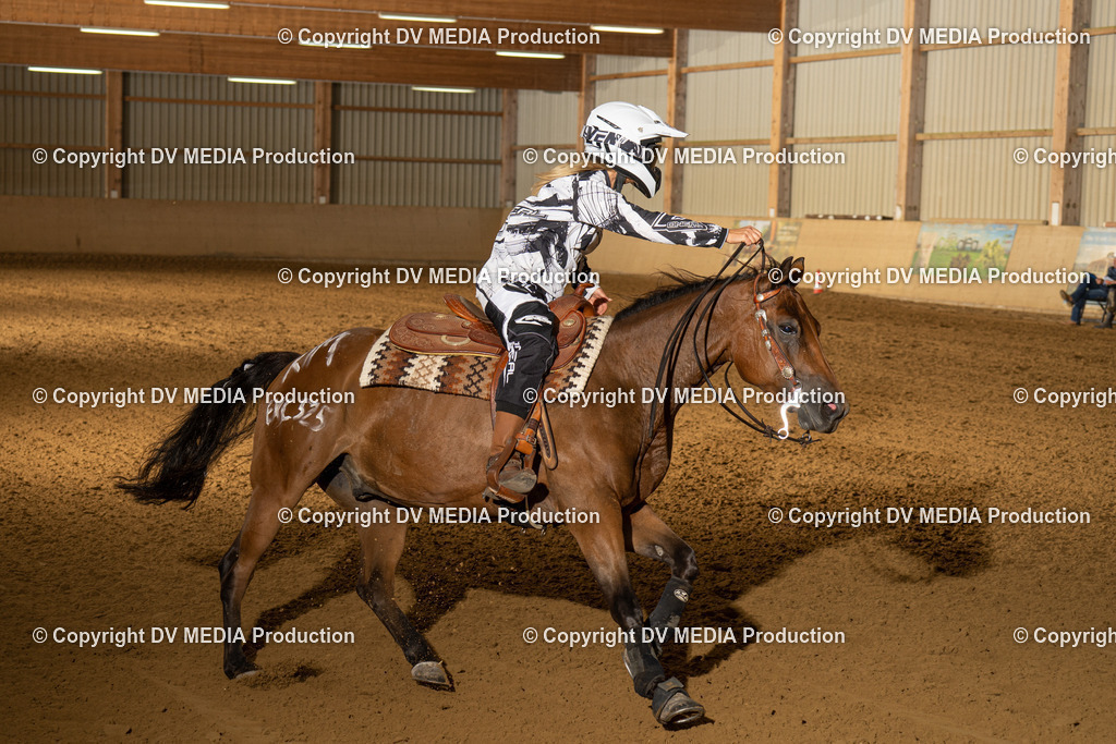 LAU01162 | dv-media-shop - Realisiert mit Pictrs.com