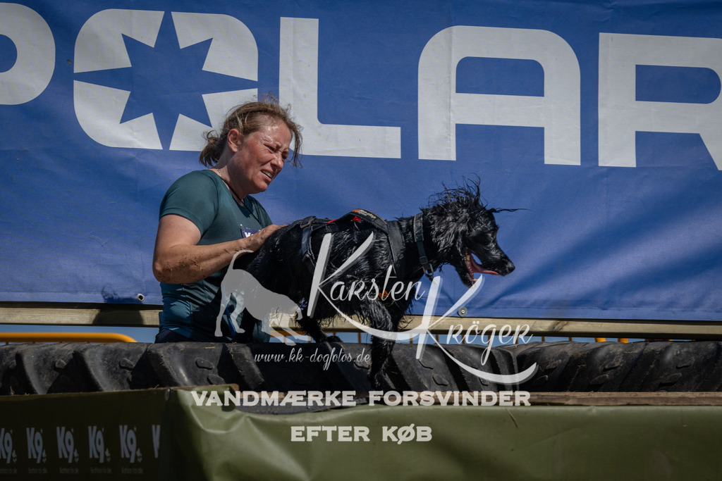 1212_ZZ94420 | kk-dogfotos