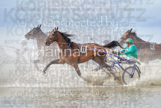 Duhner Wattrennen 22_Marina Hewig 1 | Fotografie, FotoArt, PferdesportArt, Pferdesportfotografie, Landschaftsfotografie, Reisefotografie, Reise, Pferde - Realisiert mit Pictrs.com