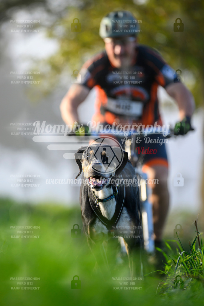 MompixPhotography_20TSB_E3_Bike-139 | PayLife