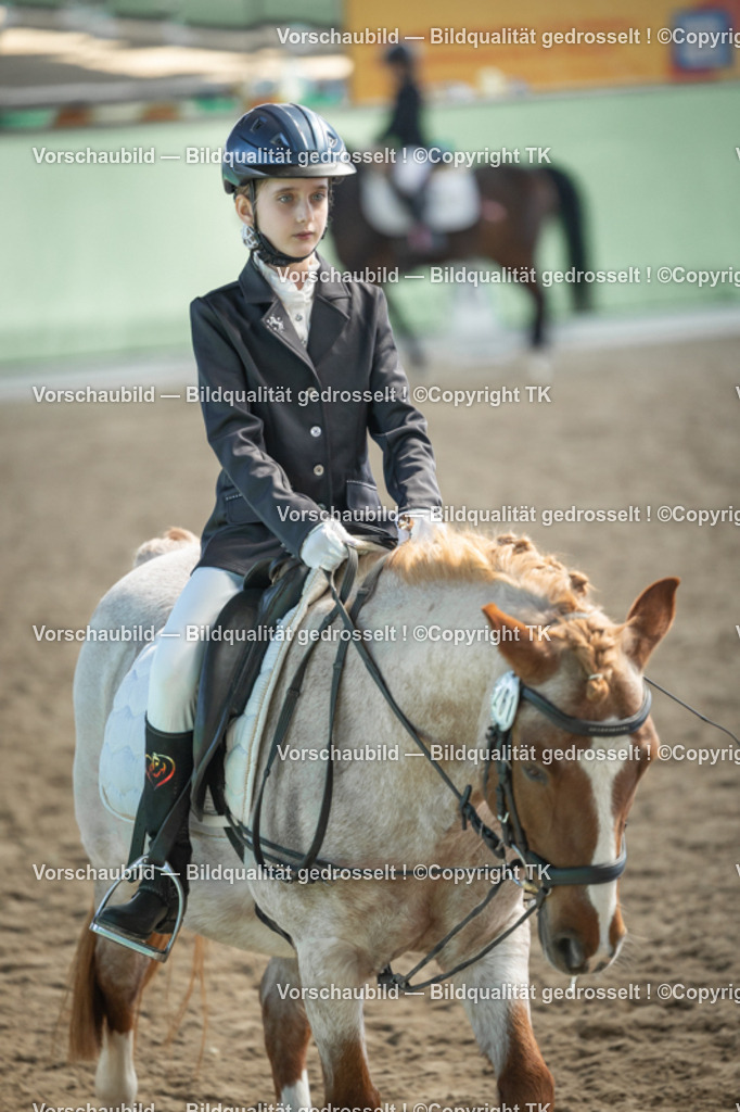 _D5A9014 | Emotionale Pferde- & People-Fotografie rund um Heidelberg, Leimen & Umgebung. Natürliche Fotos von Pferd, Mensch & Familie. Jetzt Termin sichern!