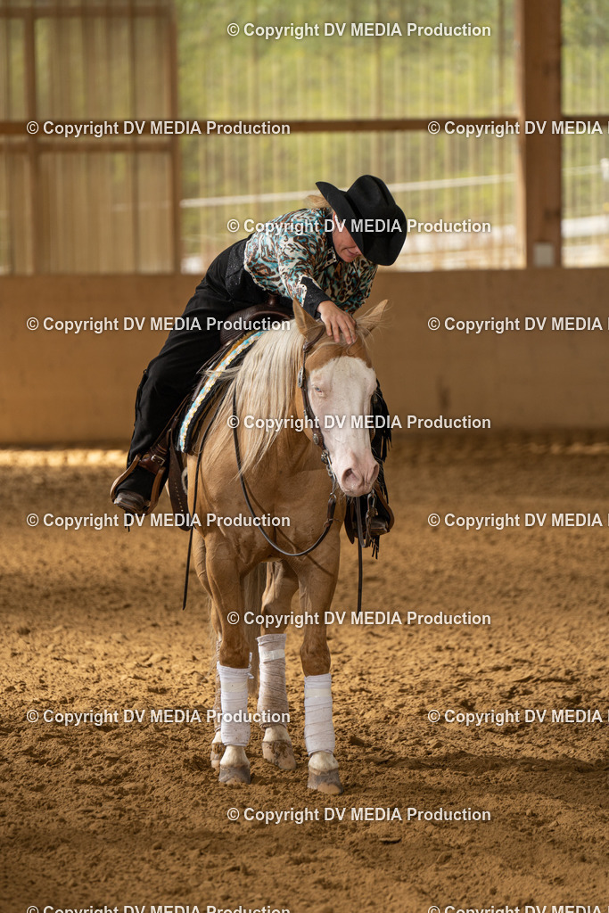 LAU01565 | dv-media-shop - Realisiert mit Pictrs.com