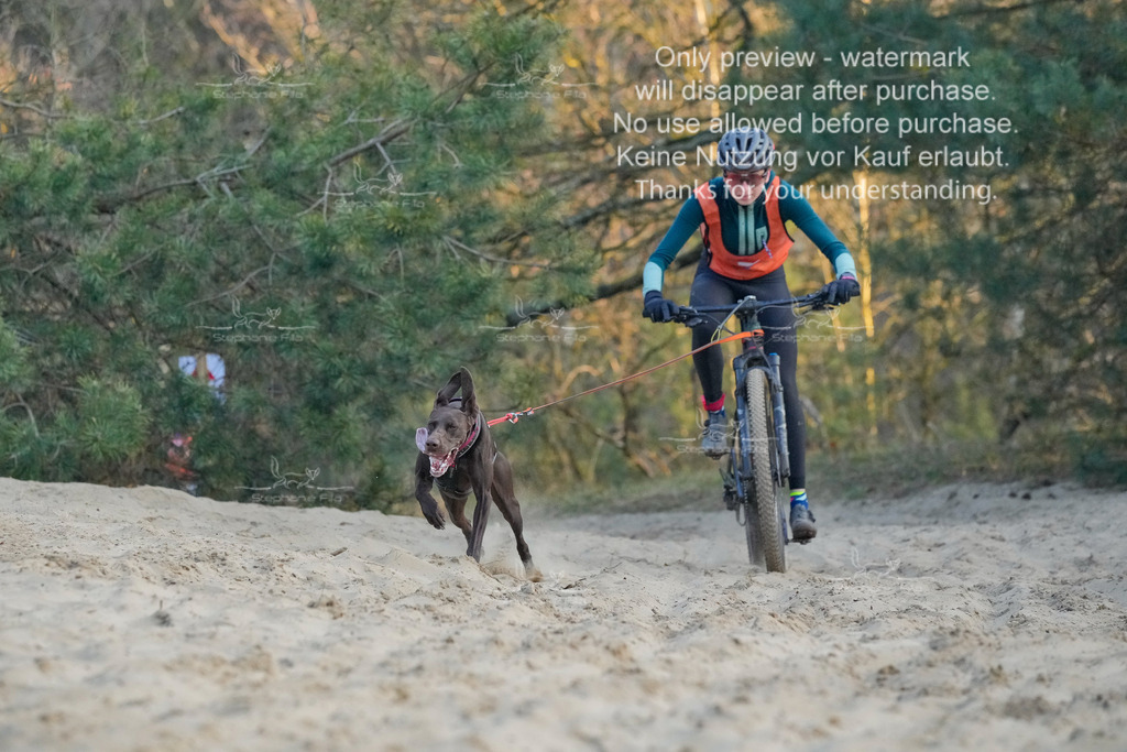 So_Bike-27 | stephaniefillaphotographie - Realisiert mit Pictrs.com
