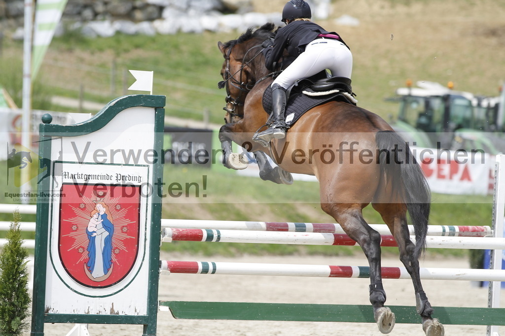 _MG_3864 | equestrian-live-com