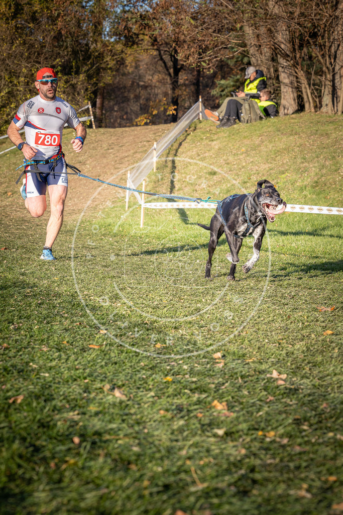 CaniXpix_0L8A0173 | Hundefotografie, Tierfotograf, Pfotenfotografie, Fotoshooting Hund, Hunde Portrait, Hundesport, Hundeportraits, Heideshooting, Hunde, Sportfotograf, Hundefotograf, Turnierhundsport, THS,  - Realisiert mit Pictrs.com