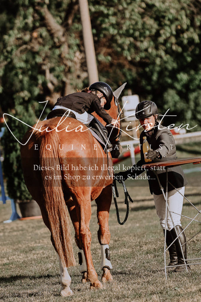 DSC_0186 | Pferde- und Turnierfotografie in Westsachsen. Pferdeportraits, Auftragszeichnungen und intuitive Kunst.