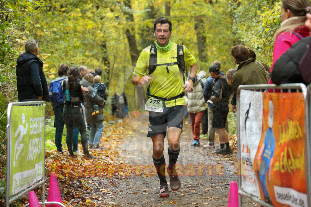 251026_1303_EX1_2372 | Sportfotografie im Rhein-Sieg Kreis, Köln, Bonn, NRW, Rheinland Pfalz, Hessen, etc. Unser Tätigkeitsfeld umfasst den Laufsport vom Volkslauf über den Marathon, Duathlon, Triathon bis zum Ultralauf wie Kölnpfad Ultra oder Schindertrail.