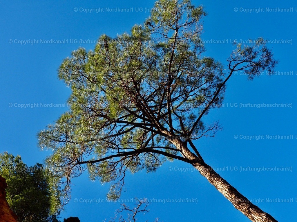 IMG_2886 | OLYMPUS DIGITAL CAMERA          - Realisiert mit Pictrs.com