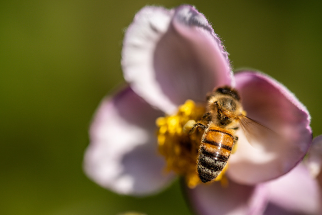 IMG_1283 | ehrlichefotos - Realisiert mit Pictrs.com