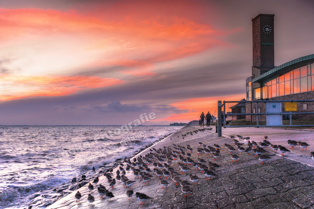 129 Wilhelmshaven Südstrand - 07-01-2022 -R Ganske_ Shop | Onlineshop mit Bildern von Stränden, Häfen und Meer. Leinwände, Poster, Kalender und andere Materialien erhältlich. Kommerzielle Lizenzen möglich.  - Realisiert mit Pictrs.com