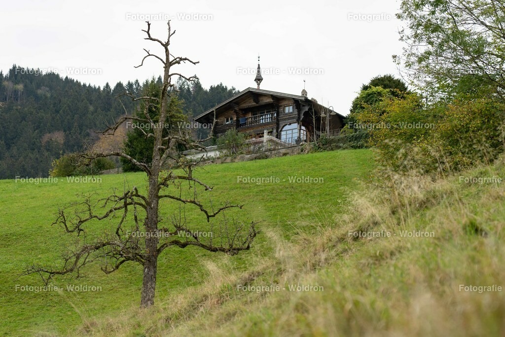20221109 Rappenlochschlucht Dornbirn-22 | Fotografie Woldron