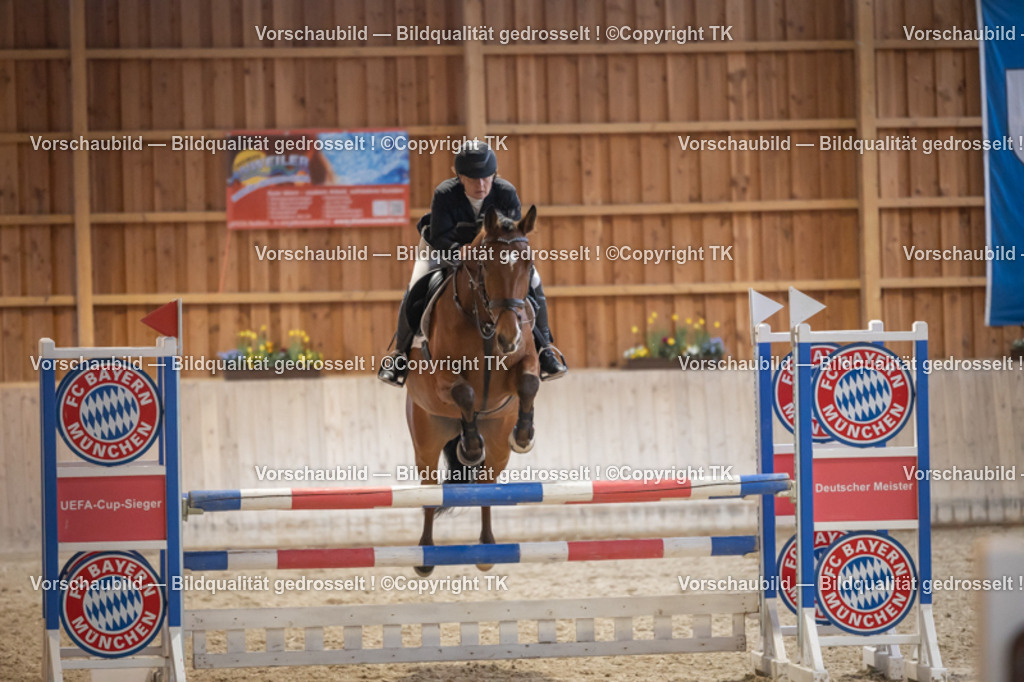 _D5A8641 | Emotionale Pferde- & People-Fotografie rund um Heidelberg, Leimen & Umgebung. Natürliche Fotos von Pferd, Mensch & Familie. Jetzt Termin sichern!