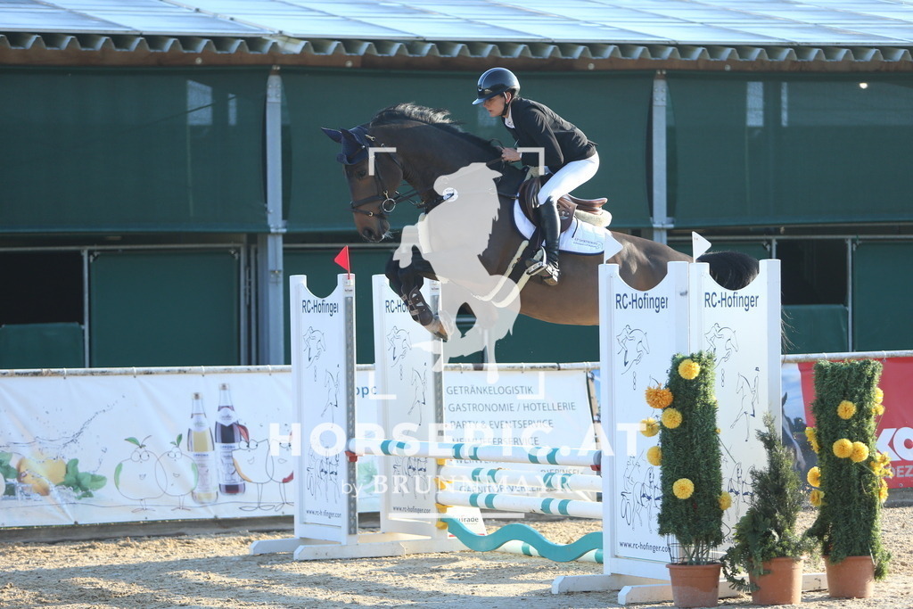 DL2Q7291 | Willkommen bei Brunnmayr - Design & Fotografie – Ihrem Spezialisten für Reitturniere und Pferdeveranstaltungen in Oberösterreich, Salzburg und Bayern! Seit über 17 Jahren sind wir leidenschaftlich dabei.