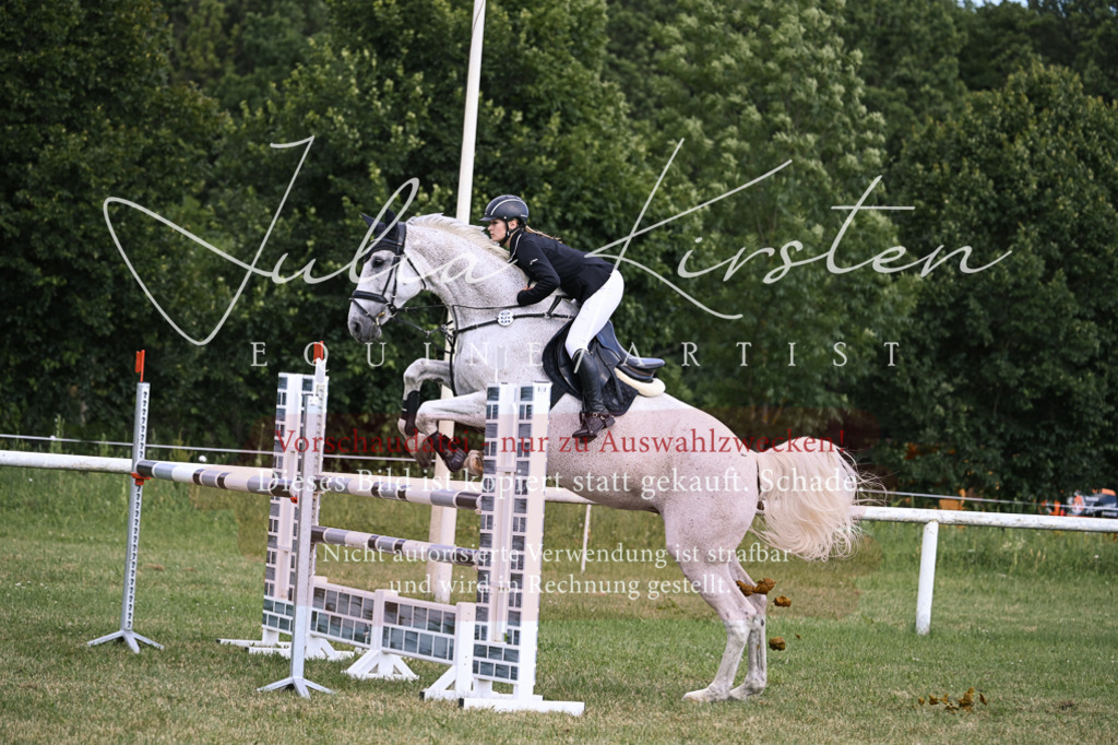 DSC_0976 | Pferde- und Turnierfotografie in Westsachsen. Pferdeportraits, Auftragszeichnungen und intuitive Kunst.