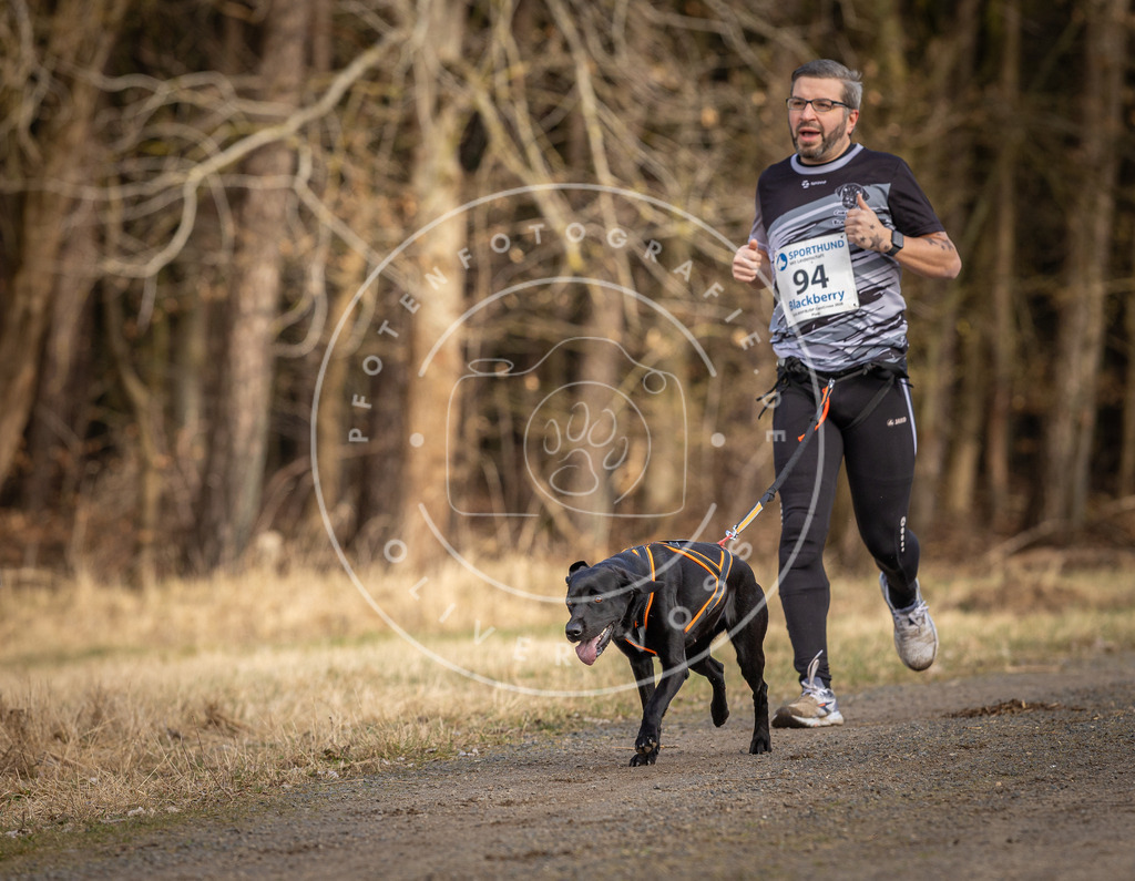 DV3A4030 | Hundefotografie, Tierfotograf, Pfotenfotografie, Fotoshooting Hund, Hunde Portrait, Hundesport, Hundeportraits, Heideshooting, Hunde, Sportfotograf, Hundefotograf, Turnierhundsport, THS,  - Realisiert mit Pictrs.com