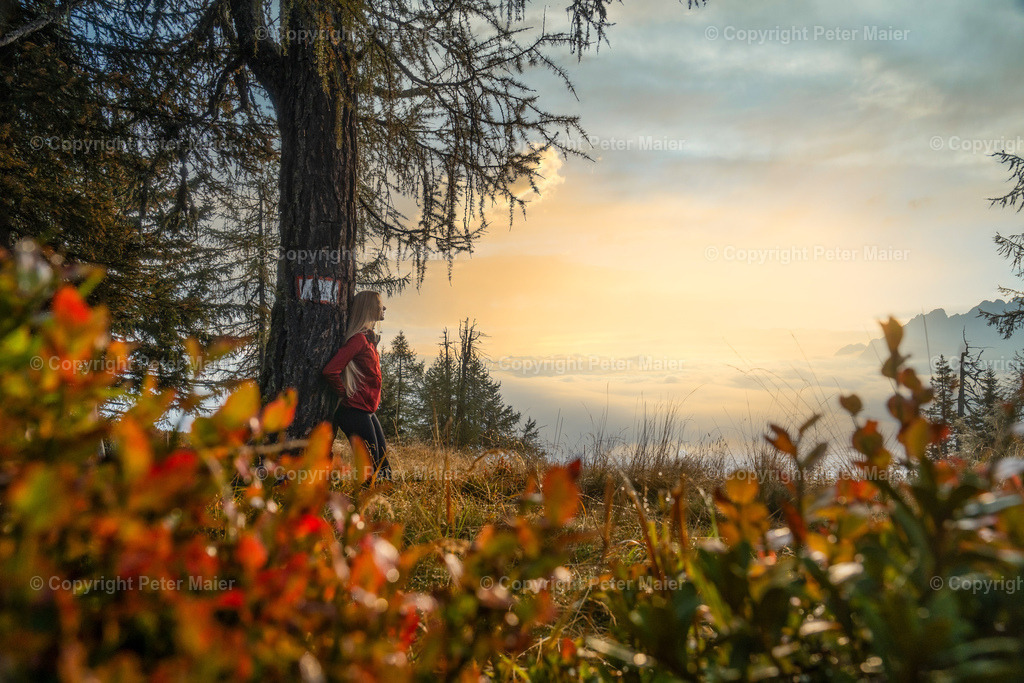 Hochstein_Erlebnisraum_Wald_23_Peter_Maier-81 | piet_flosse