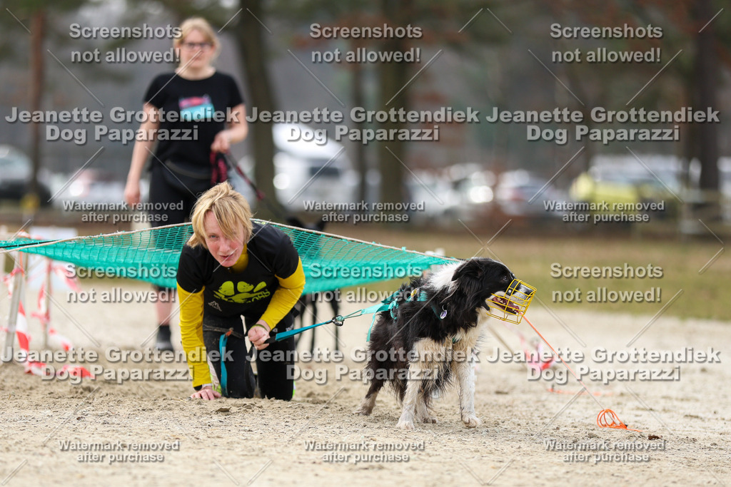 Dog Paparazzi - Strongdog North Mrz26-5632 | Dog Paparazzi Jeanette Grottendiek Fotografie & Videografie - Realisiert mit Pictrs.com