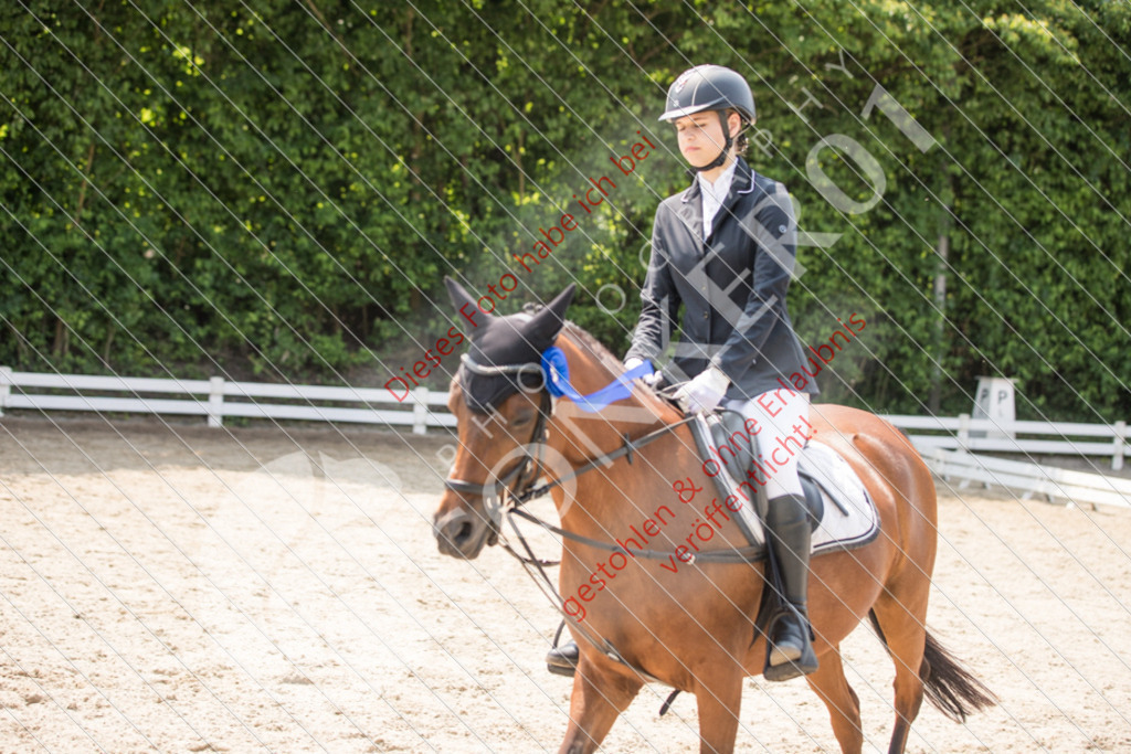 IMG_3708 | Sport-, Event- und Tierfotos in Profiqualität. Einfach auswählen, bestellen und herunterladen. Dein Moment – perfekt festgehalten.