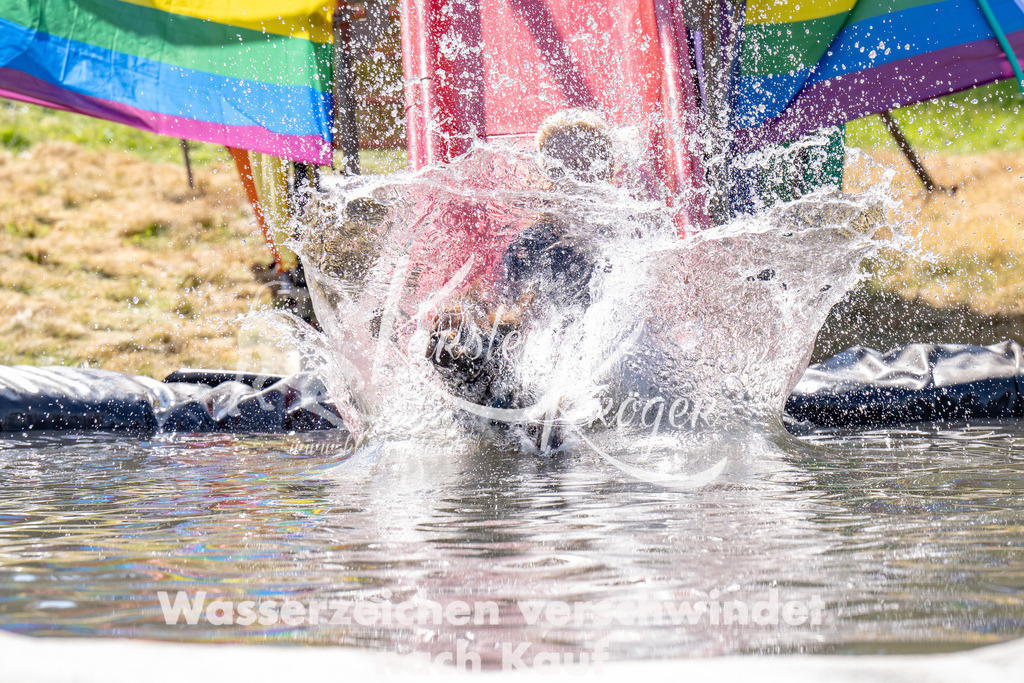 1247_ZZ93589 | kk-dogfotos