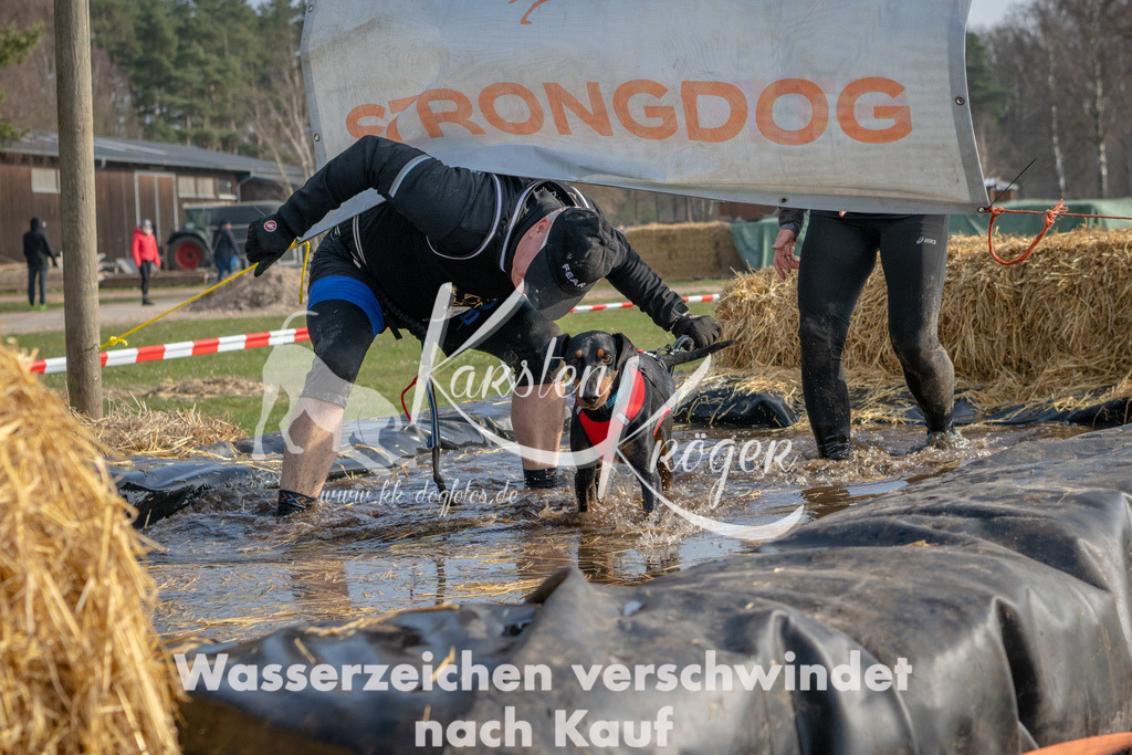 _ZZ91828 | kk-dogfotos