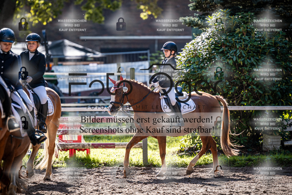 2026-10-Helle-20-4-0012 | Entdecke hochwertige Reitturnierfotos von Foto Oger. Professionell, emotional und authentisch – jetzt Lieblingsmomente im Shop bestellen.Deutschlandweite Turnierfotografie. - Realisiert mit Pictrs.com
