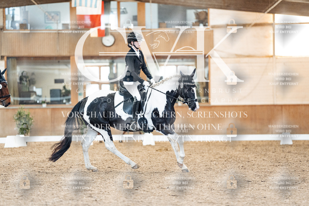 CK907669 | Turnierfotografie Pferdefotografie Trier Rheinland-Pfalz Pferdesport Reitsport Tierfotografie Sportfotografie Pferdevideo Pferdevideografie Equestrianvideography equestrianphotography  - Realisiert mit Pictrs.com