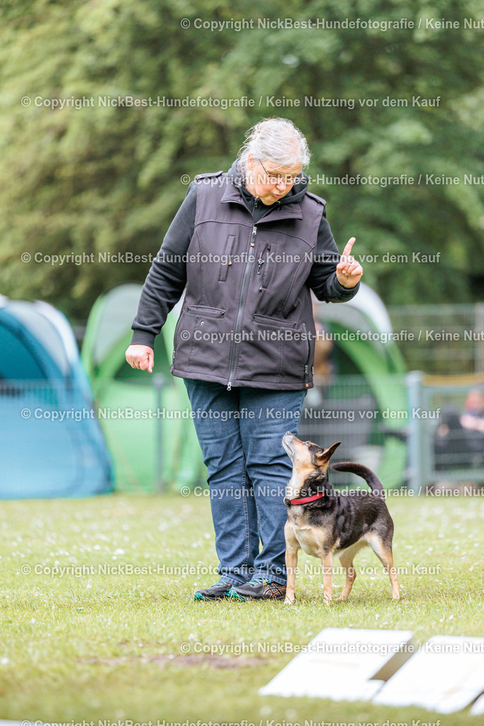 RO-Blumenthal-2026-Nickbest-Hundefotografie-4499 | Dein Hund! Dein Moment! Deine Erinnerungen! Hundefotografie in Bremen Blumenthal. Ich fange die besonderen Momente deines Vierbeiners ein – ob Indoor mit Blitzanlage oder in der freien Natur. Sicher dir dein Moment und dein Termin für eure Erinnerungen.
