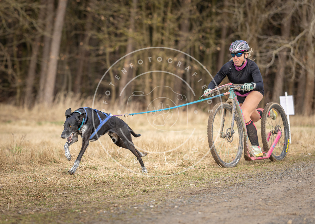 DV3A4668 | Hundefotografie, Tierfotograf, Pfotenfotografie, Fotoshooting Hund, Hunde Portrait, Hundesport, Hundeportraits, Heideshooting, Hunde, Sportfotograf, Hundefotograf, Turnierhundsport, THS,  - Realisiert mit Pictrs.com