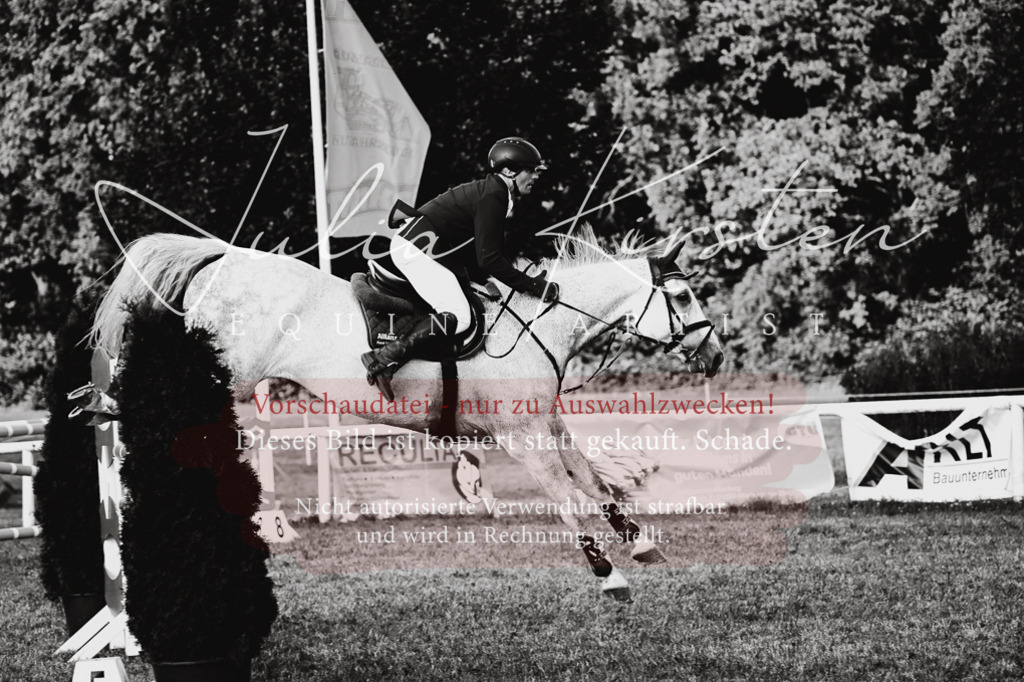 DSC_1721 | Pferde- und Turnierfotografie in Westsachsen. Pferdeportraits, Auftragszeichnungen und intuitive Kunst.