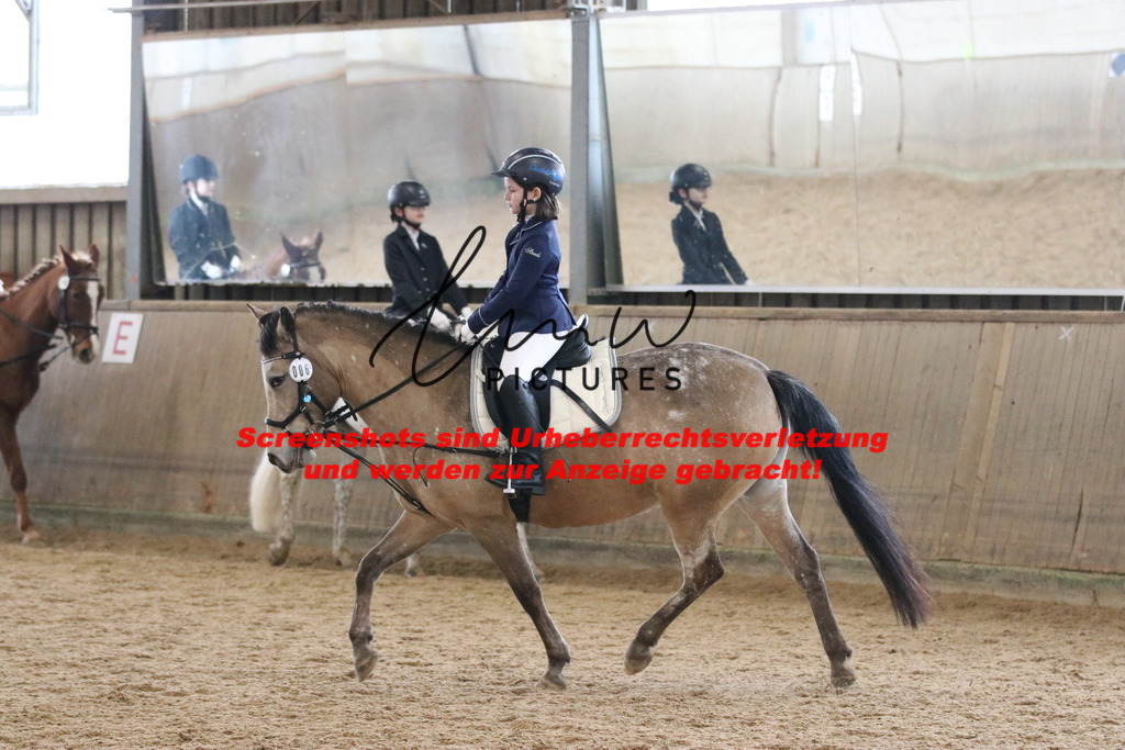 IMG_4863 | lmwpictures - Realisiert mit Pictrs.com