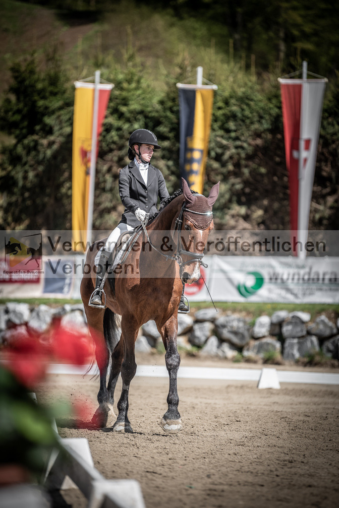 DSC_9863 | equestrian-live-com