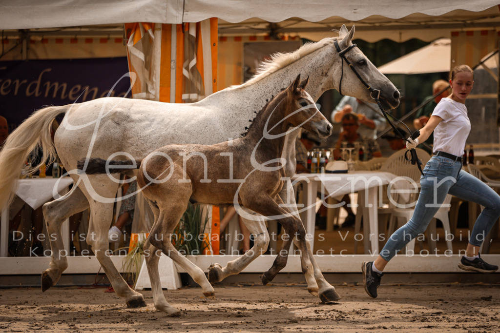 SaPA00074 | Leoni Ertmer Photography - Realisiert mit Pictrs.com