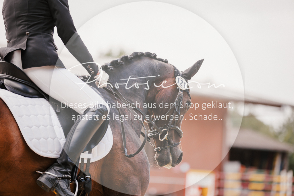 3I6A6250 | Stimmungsvolle Portraits und Reitsportfotografie im Ruhrgebiet und im Münsterland.

Pferdefotografie, Hundefotografie, Tierfotografie, Reportagen, Portraits von Tier und Mensch, Turnierfotografie in Bochum, Recklinghausen, Marl, Haltern am See, Dülmen.. - Realisiert mit Pictrs.com