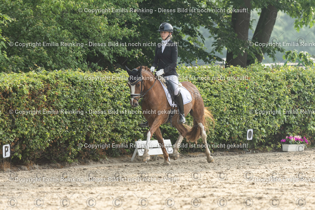 CL5A3454 | Emilia Reinking Fotografie - Realisiert mit Pictrs.com