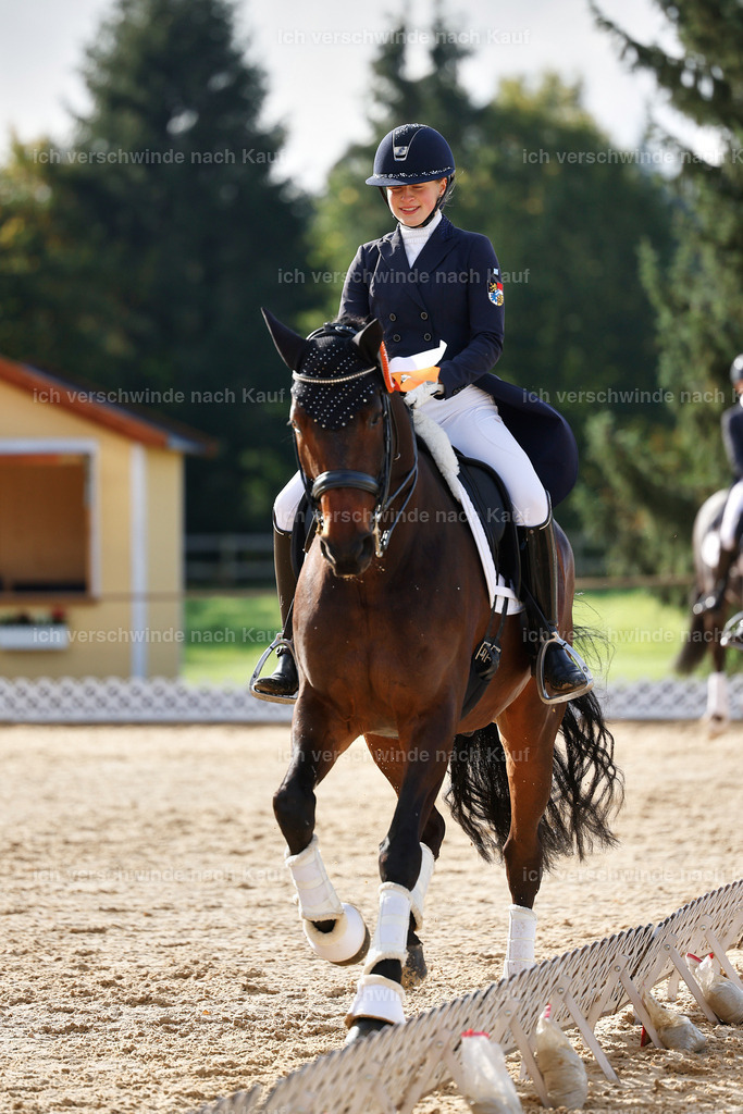 09_1-Siegerehrung-DRESSUR  S_  -StoibPH-5626 | working equitationturnier fotograf videograf stoibphotography marixx film working equitation deutschland reitsport turnierfotografie eventfotografie equestrian events